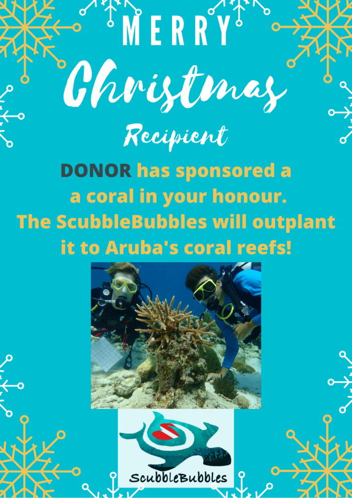 Gift sponsor a coral outplant