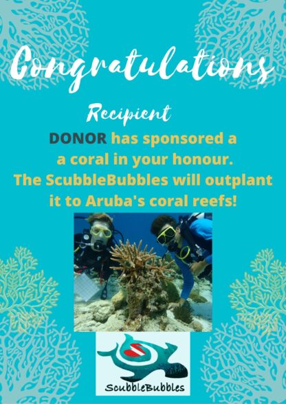 Gift sponsor a coral outplant